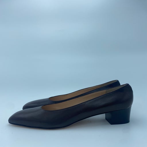 Carel pumps
