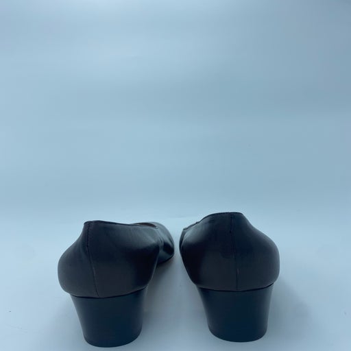 Carel pumps