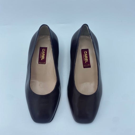 Carel pumps
