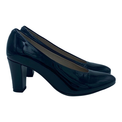 Carel pumps