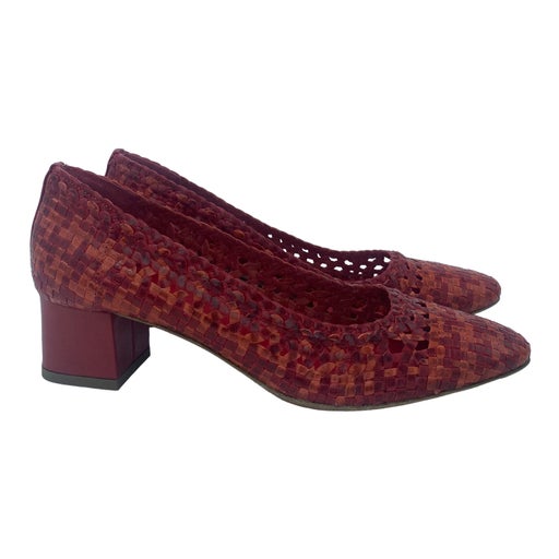 Carel pumps
