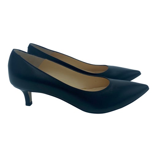 Carel pumps