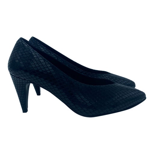 Carel pumps