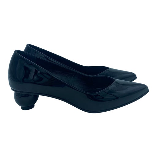 Carel pumps