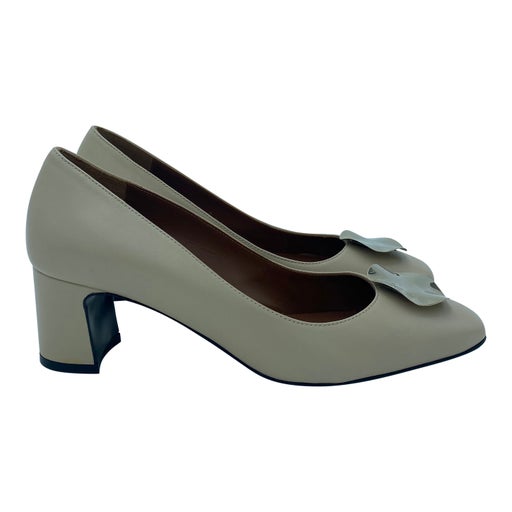 Carel pumps