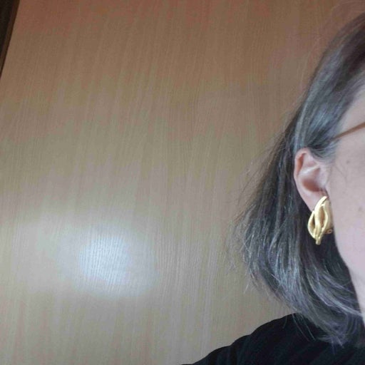 Clip-on earrings