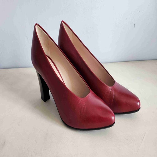 Carel pumps
