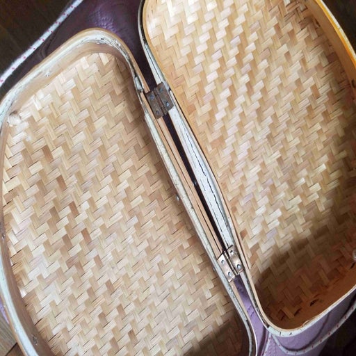 Cane bag