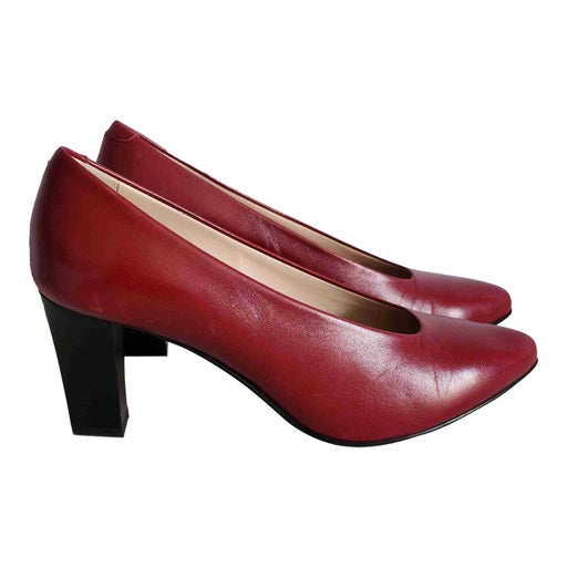 Carel pumps