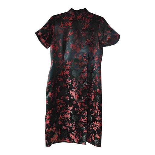Robe asiatique en soie