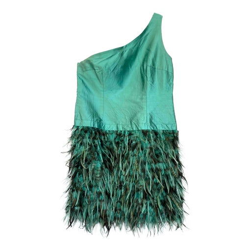 Feather dress
