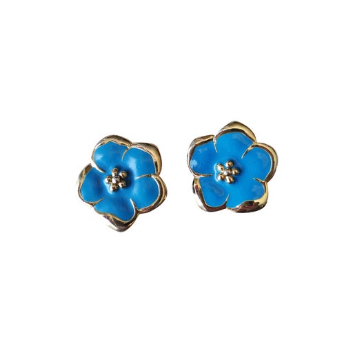 Boucles d'oreilles clips