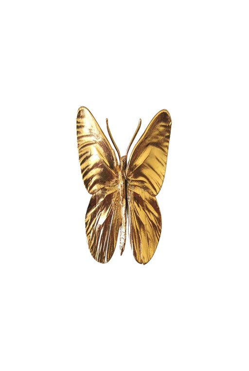 butterfly brooch