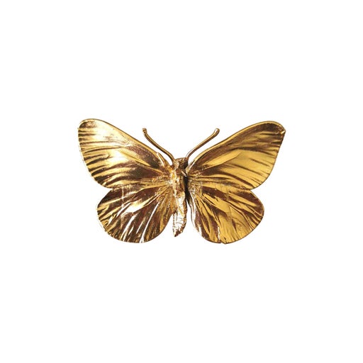 butterfly brooch
