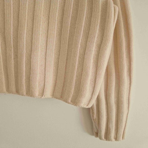 Pull col roulé en laine