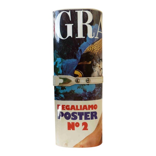 Rigid newspaper pouch