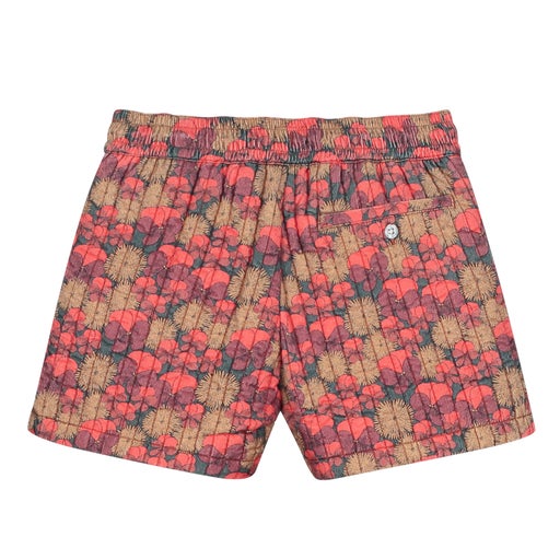 Holi & Love Shorts