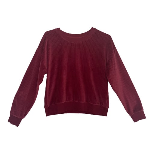 Ysé velvet sweatshirt