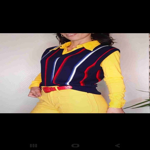 Pierre Cardin sleeveless sweater