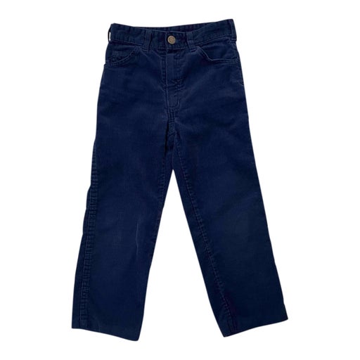 Velvet pants