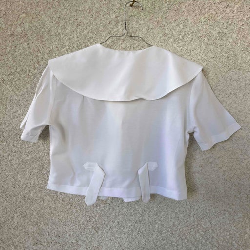 Embroidered collar blouse