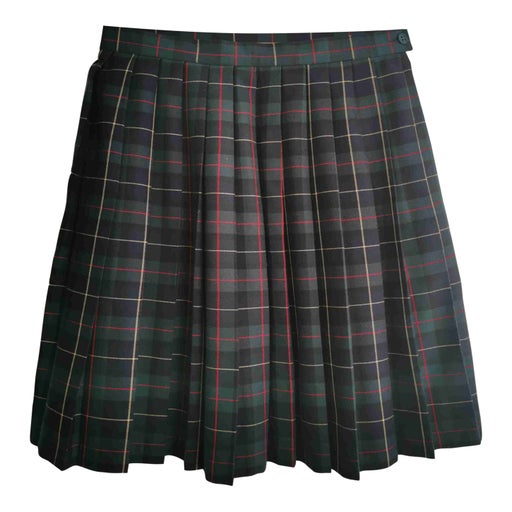 Pleated skirt