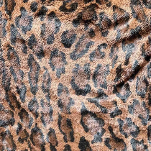 Leopard shorts 