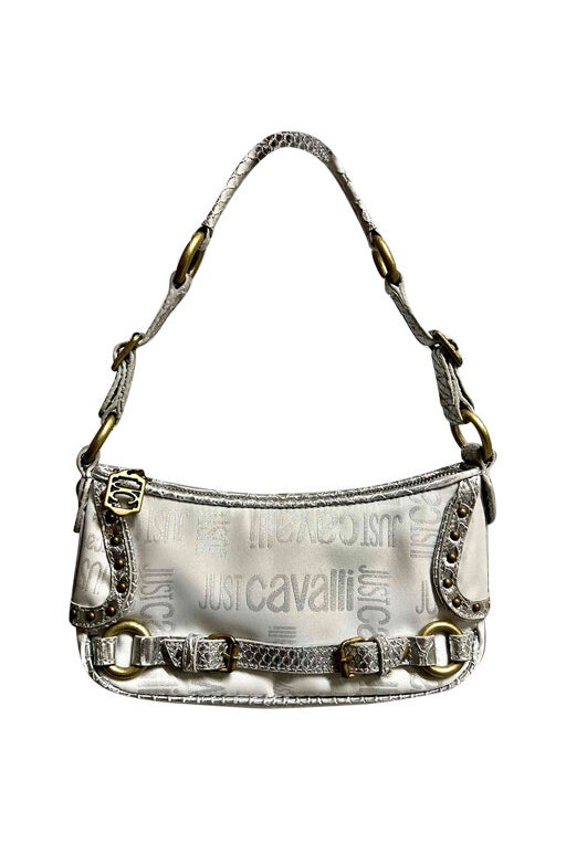 Roberto Cavalli bag