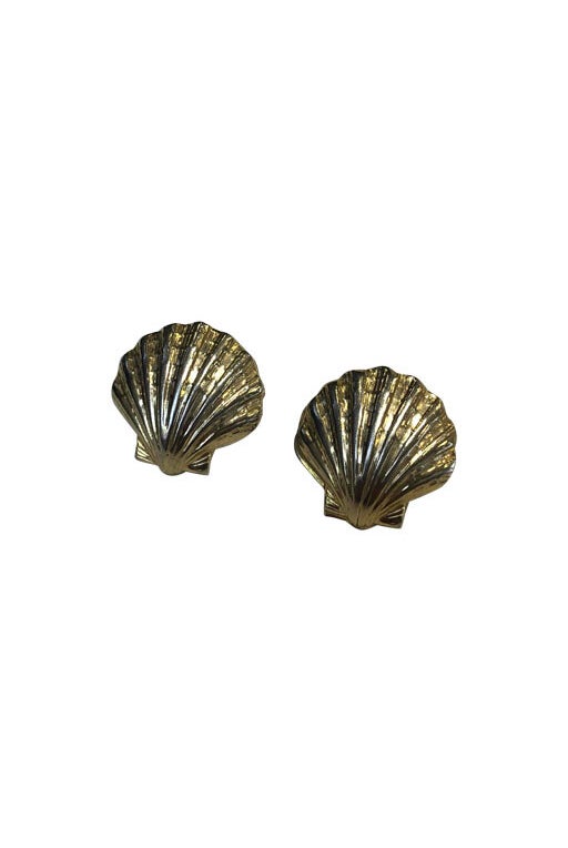 Shell earrings 