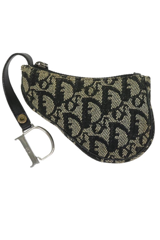 Dior Saddle